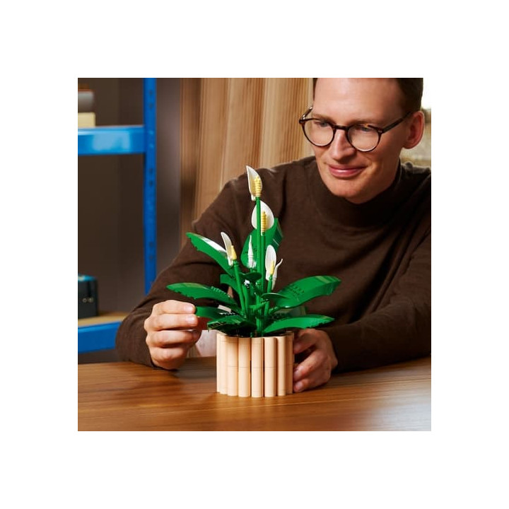 LEGO® Botanicals 11504 Lopatkovec