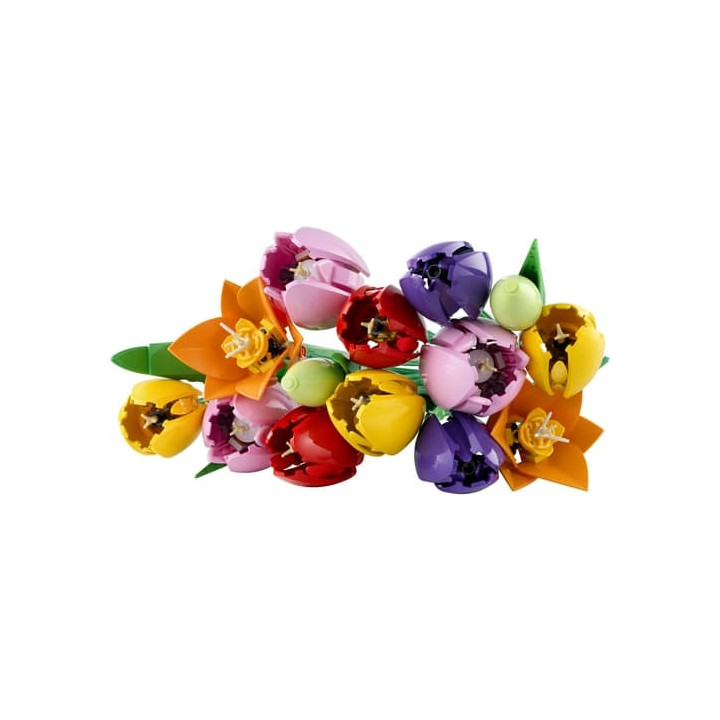 LEGO® Botanicals 11501 Kytice tulipánů