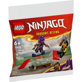 LEGO NINJAGO 30675 Turnajové tréninkové hřiště: Kai a souboj v Raptonově chrámu