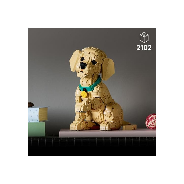 Lego Icons 11384 Štěně zlatého retrívra