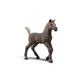 Schleich 81460 Sběratelské hříbě Darcy
