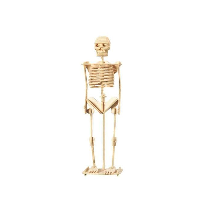 Woodcraft Dřevěné 3D puzzle Kostra