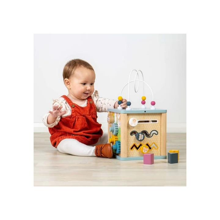 Bigjigs Toys Motorická aktivní kostka s labyrintem