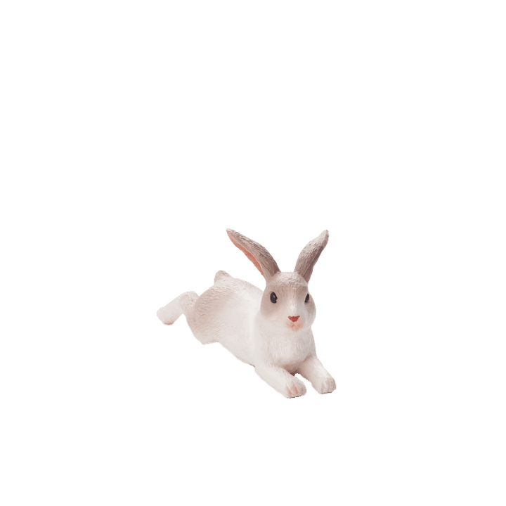 Mojo Králík ležící