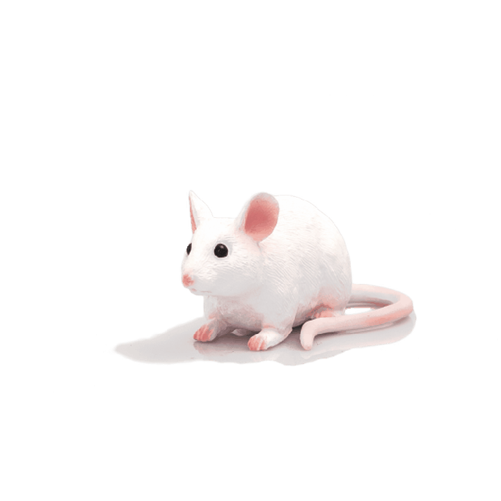 Mojo Myš