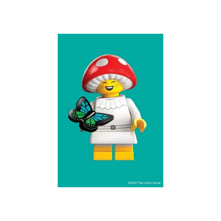 Chronicle Books LEGO® Minifigurky 100 ks pohlednic
