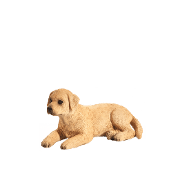 Mojo Labrador štěně