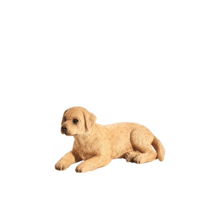 Mojo Labrador štěně