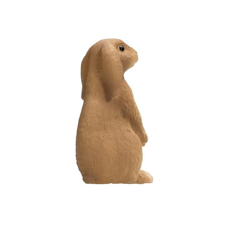Mojo Králík sedící