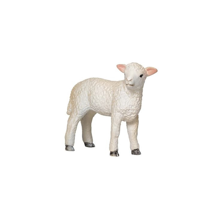 Mojo Jehňátko romney marsh stojící