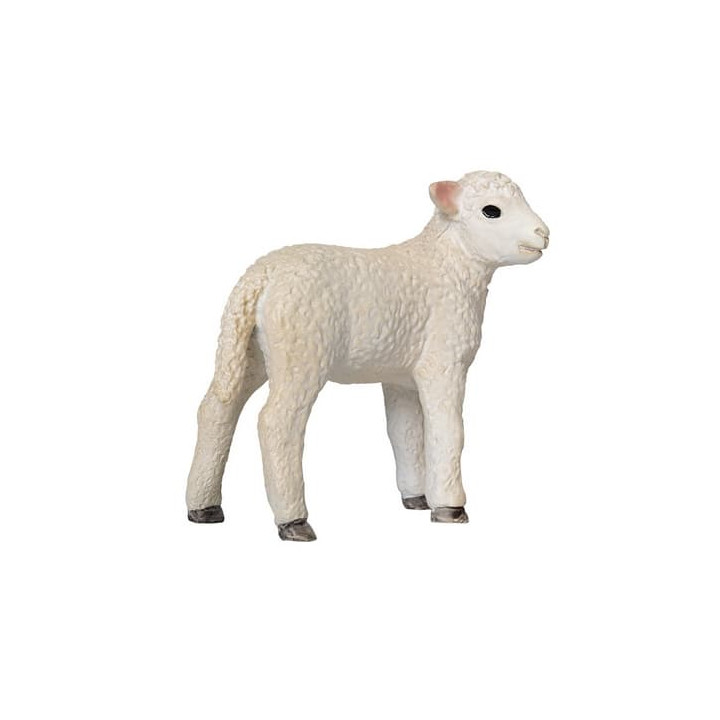 Mojo Jehňátko romney marsh stojící