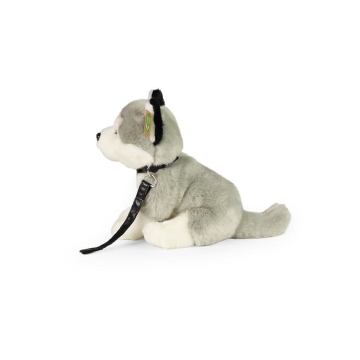 Rappa Plyšový pes husky sedící s vodítkem 28 cm ECO-FRIENDLY