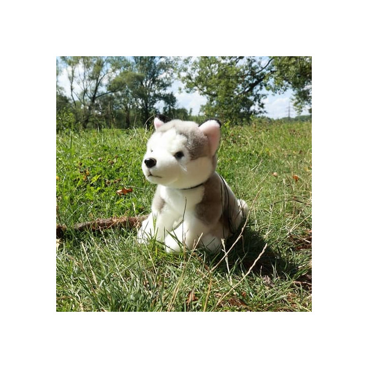 Rappa Plyšový pes husky sedící s vodítkem 28 cm ECO-FRIENDLY