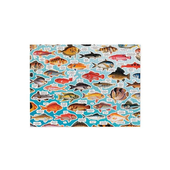 Galison Puzzle Rybí myšlenky 1000 dílků