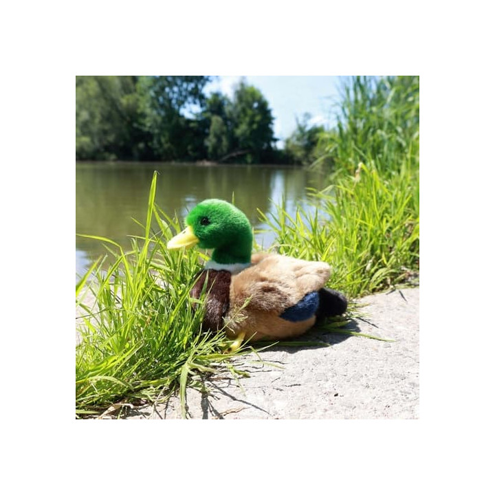 Rappa Plyšová kachna 20 cm ECO-FRIENDLY