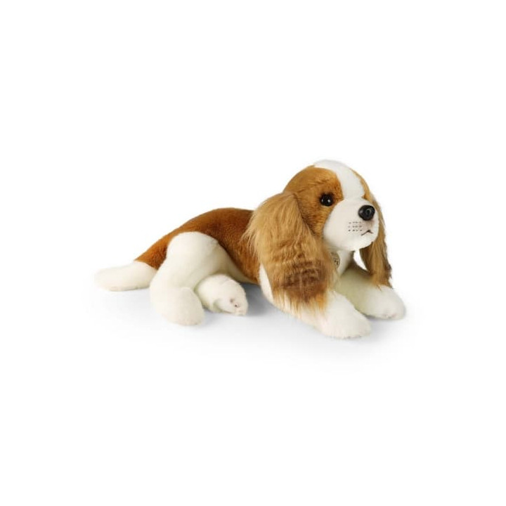 Rappa Plyšový pes kavalír King Charles španěl 40 cm ECO-FRIENDLY