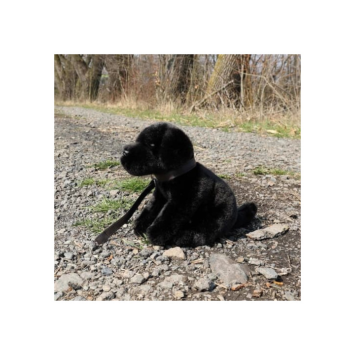 Rappa Plyšový pes labrador černý 25 cm ECO-FRIENDLY