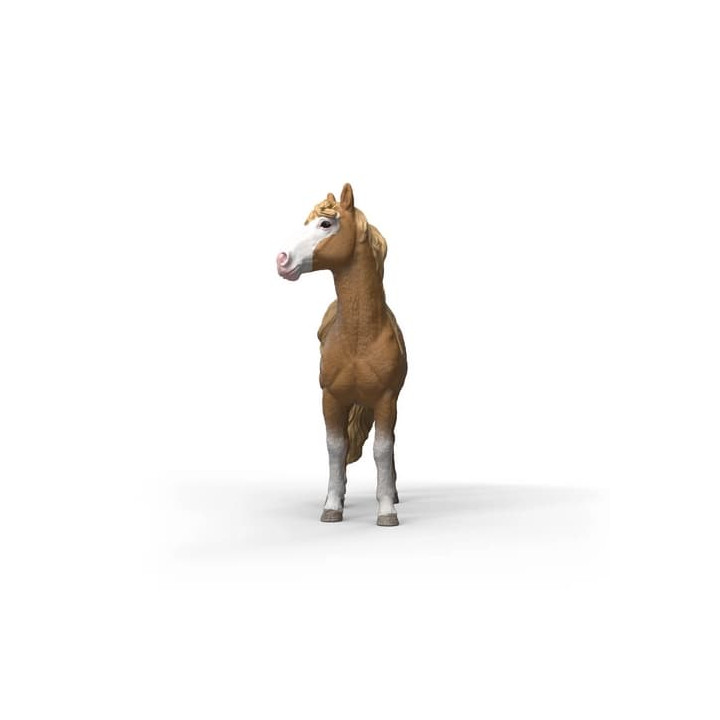 Schleich 14920 klisna mustanga