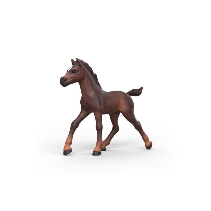 Schleich Sběratelské hříbě Ravi 81479 Schleich 81479 Sběratelské hříbě Ravi