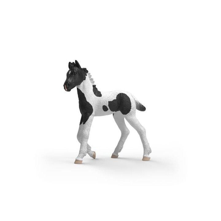 Schleich 81481 Sběratelské hříbě Rocky Schleich 81481 Sběratelské hříbě Rocky