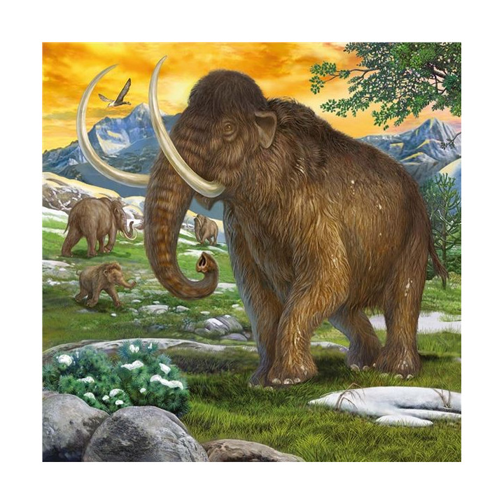 Dinosauři a čas 3x49 dílků