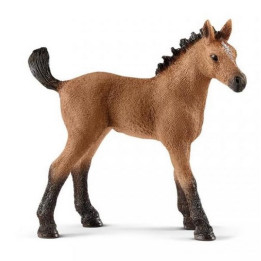 Schleich 13854 Hříbě plemene Quarter