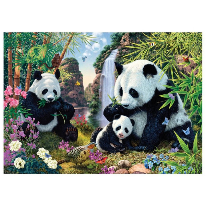 Pandy 1000D secret