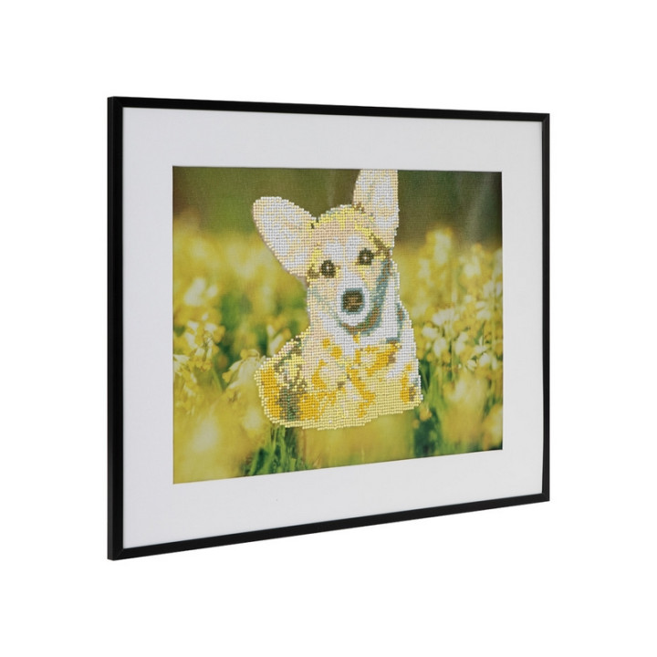 Craft Malování pomocí kamímků Diamond Pejsek 40x50 cm