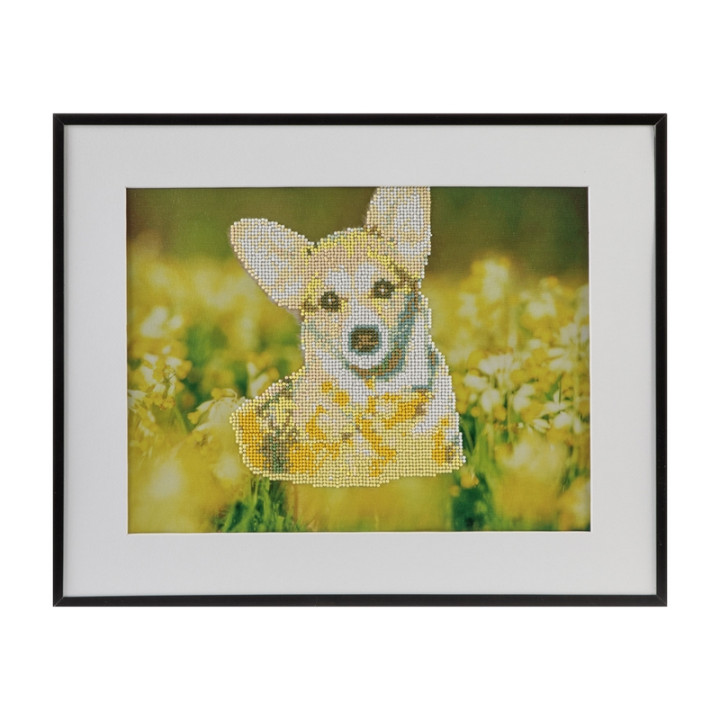 Craft Malování pomocí kamímků Diamond Pejsek 40x50 cm