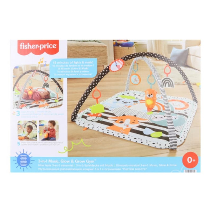 Fisher Price Hrací dečka s vydrou 3v1