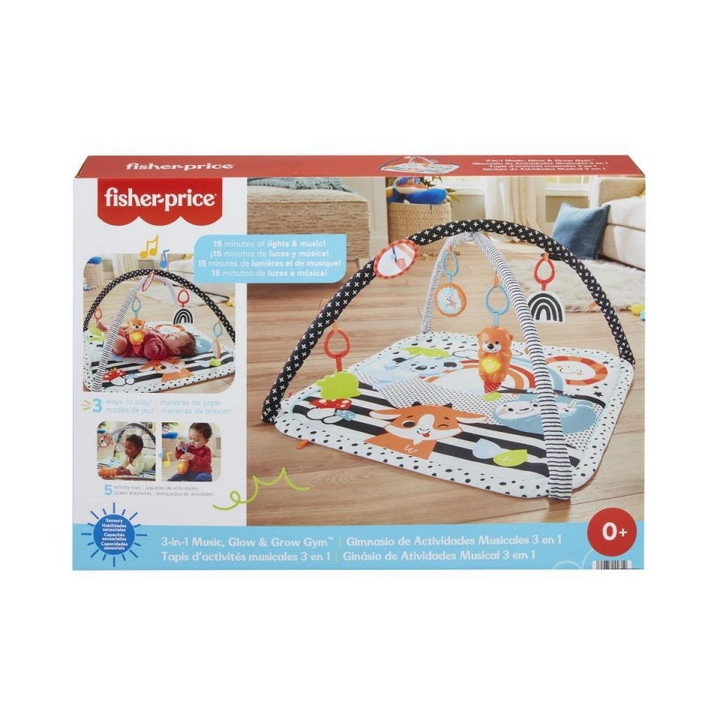 Fisher Price Hrací dečka s vydrou 3v1